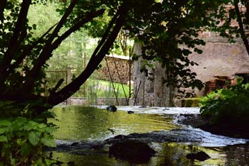 Izvir Frančiška je skrbno obzidan, njegova voda pa se izliva v Stiški potok.