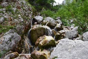 Izvir Savinje je stalen in se ponaša s pitno vodo, ki preko številnih skal potuje nižje proti dolini Savinjskih Alp.