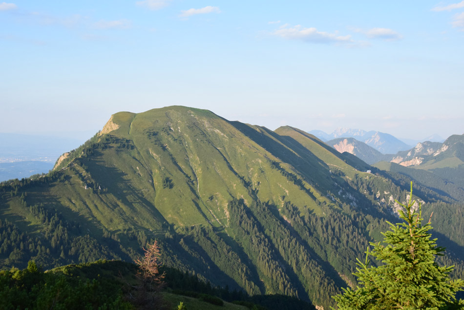 Klek je brezpotna in zelo razgledna gora v Karavankah na severu Slovenije s katere se zelo lepo vidi znamenita Golica in njena travnata pobočja po katerih cvetijo narcise.