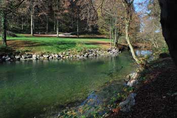 Močilnik je eden od dveh zelenih izvirov Male Ljubljanice, ki izvira blizu Vrhnike.