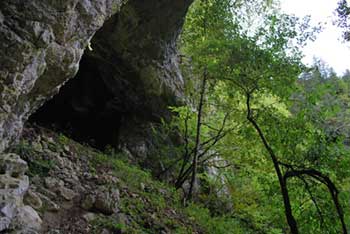 Pokljuška soteska je ena izmed bolj znanih gorskih sotesk v Julijskih Alpah.