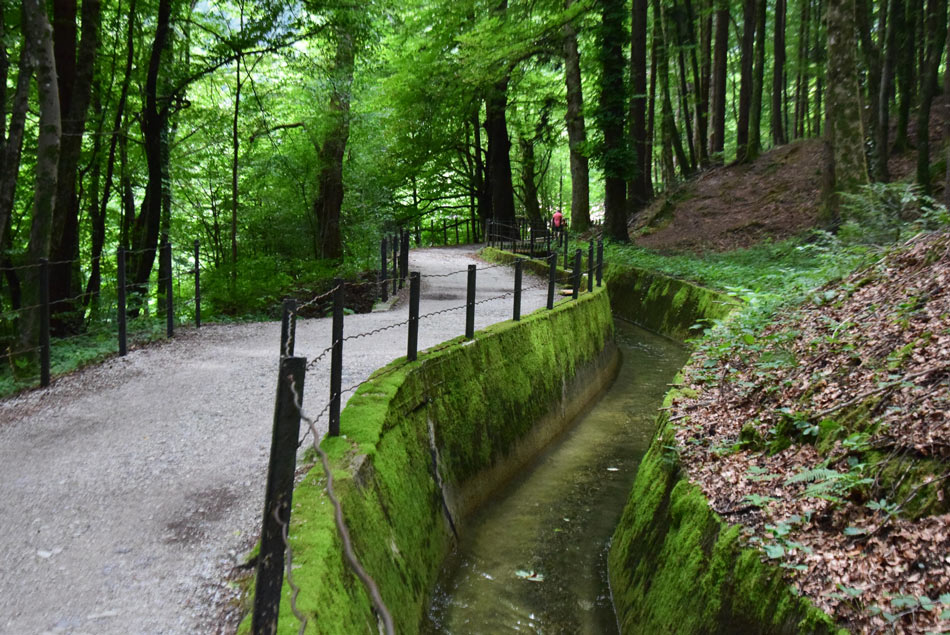 Zelena barva Poti ob Rakah veje iz gozda in mahu, ki porašča vodni kanal.