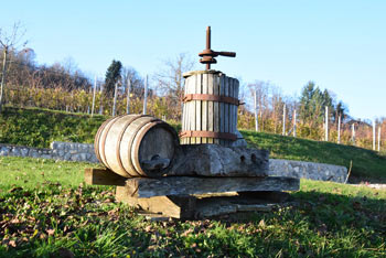 Trška gora je znana po pridelavi cvička zato so na njej ob cesti postavili stiskalnico grozdja in vinski sod.