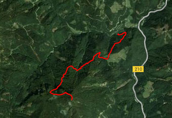 GPS sled za na pot na Dravh ni potrebna, saj je orientacija zelo lahka.