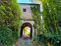 admin7 &raquo; Grad Bizeljsko