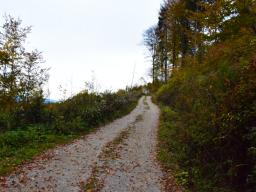 stolp-zdravja-in-veselja-na-rudnici-27