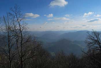 Čemšeniška planina je priljubljen cilj zasavskih planincev.