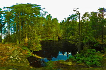 Črno jezero je skrivnostno in nadvse temačno, saj se nahaja sredi smrekovih gozdov.