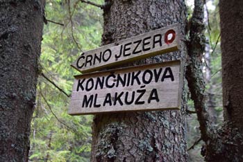 Črno jezero ali Končnikova mlakuža se nahaja na severnem koroškem predelu Smrekovškega pogorja.