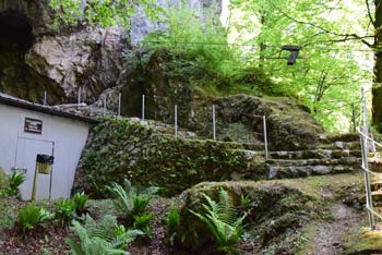Pogled na arheološko najdišče Divje babe, ki se nahaja pod skalnato steno v gozdu.