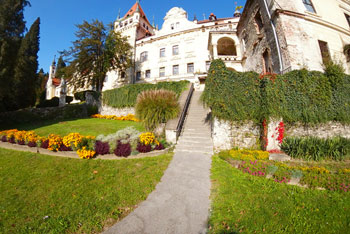 Do dvorca Viltuš vodijo vodijo visoke stopnice obdane s cvetlicami.