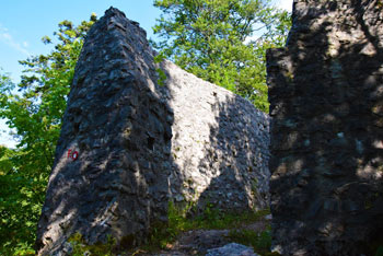 Fridrihštajn se ponaša z visokim kamnitim obrambnim zidom za katerim raste drevje.