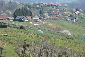 Gomila se ponaša z visokim razglednim stolpom s katerega se odpre pogled na gričevnate Slovenske gorice posute s sadovnjaki in vinogradi.