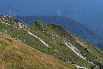 Kofce gora se nahaja na poti med Velikim vrhom in Velikim Kladivom na Košuti.