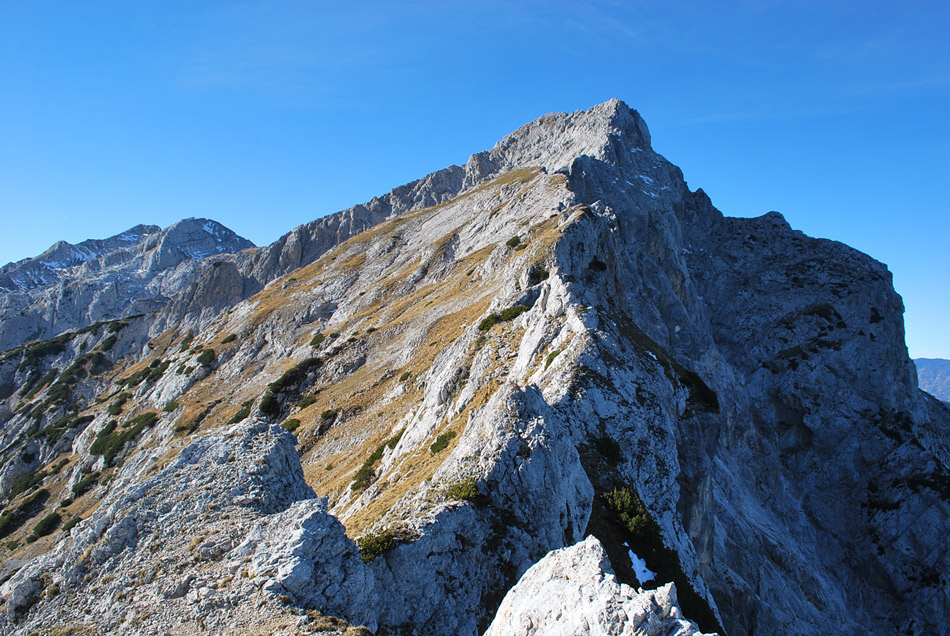 Mala Ojstrica se nahaja nad Dleskavškovo planoto, ker se odpre razgled na Lučki dedec, Dleskovec, Veliko Zelenico in ostale vrhove.