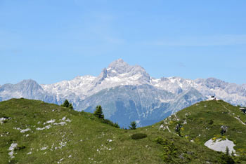Možic je razgleden vrh nad Soriško planino s katerega se odpre lep pogled na gore okoli Triglava.