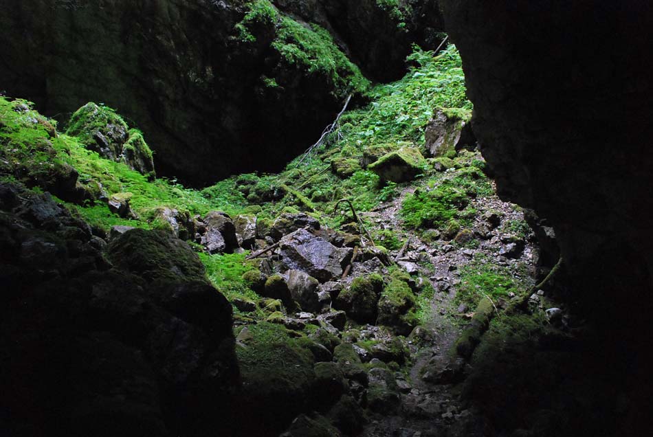 Vhod v Mrzlo jamo se nahaja v globoki globeli in je zelo atraktiven.