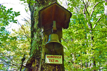 Murovica je z gozdov poraščen vrh v Posavskem hribovju.