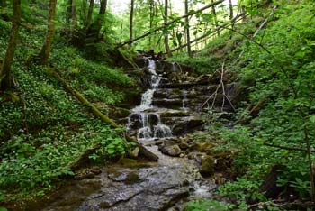 Eden izmed manjših slapov potoka, ki teče v Ločnico na poti z Osolnika.
