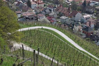 Piramida in Kalvarija nad Mariborom sta dosegljivi po pešpoti, ki se vije med mestnimi vinogradi