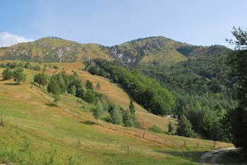 Planjava pri Kamniškem vrhu je znana po prostranih travnatih pobočjih s pasovi gozda.
