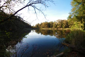 Slika prikazuje Turntajht, ki se nahaja v krajinskem parku Rački ribniki - Požeg.