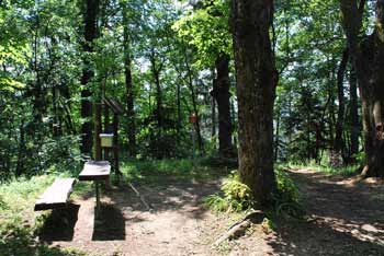 Senčnica Josipine Turnograjske je prostor sredi gozda, kjer je ustvarjala prva slovenska pesnica.