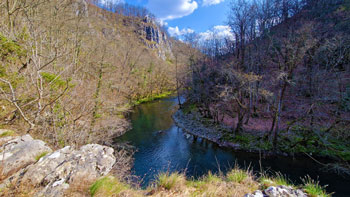 Reka Reka vijuga po tesni soteski z visokimi stenami poraščenimi z drevjem..