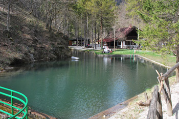 Jezerce sredi gozda v Starem malnu, kjer stoji lesena koča.