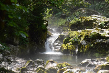 Šunikov vodni gaj se nahaja v dolini Lepene in ima številna slapišča in korita.