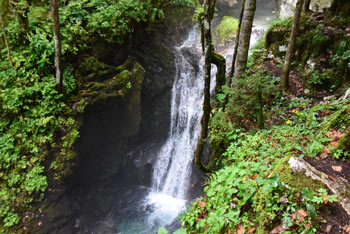 V Šunikovem vodnem gaju bomo videli tudi nekaj metrov visoke slapove.