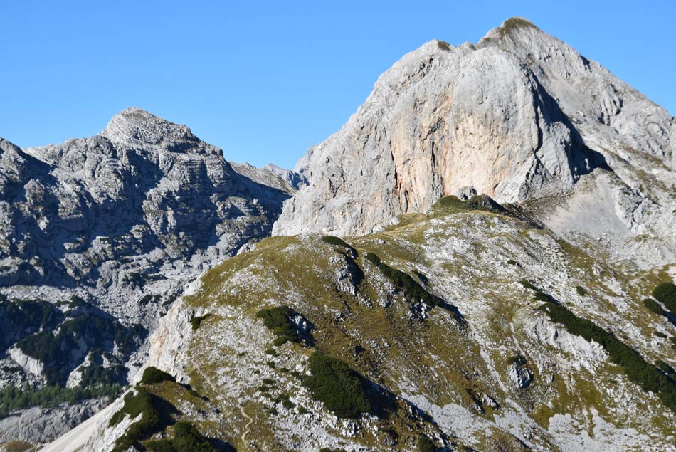 Velika Tičarica je manj obiskana gora s pogledm na travnata pobočja sosednje Velike Zelnarice.