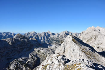Velika Zelnarica je izvrsten razglednik, z nje se vidijo najvišji vrhovi Julijskih Alp, tudi Jalovec, Krn, Bogatin, pa tudi Triglav in Kanjavec.