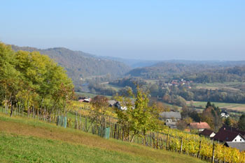 S Žežlja v Beli krajini se odpre pogled na vinske gorice in dolino reke Kolpe.