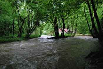 Zijalo je kraški izvir v porečju reke Temenice.