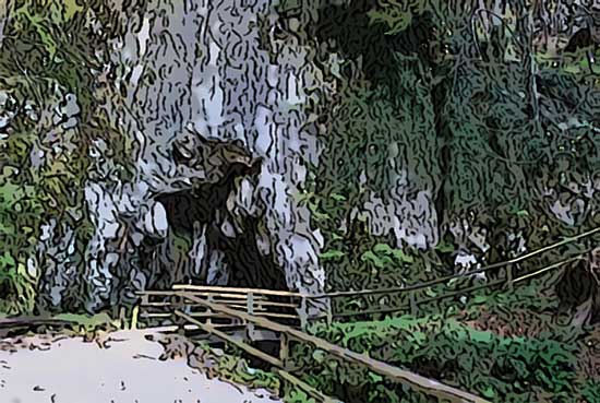 Jama Pekel je turistična kraška jama na Štajerskem, ki je dobila svoje ime po naravni človeški podobi nad vhodom. 
