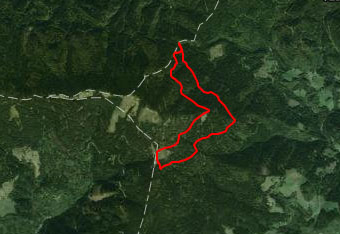 GPS track nas vodi skozi pretežno iglasti gozd do Doma na Smrekovcu.