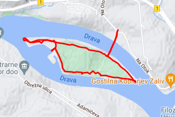 GPS sled prikazuje krožen sprehod po Mariborskem otoku.