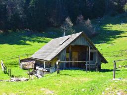 galetovec-48
