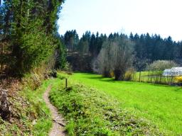 machova-pot-18