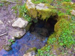 machova-pot-20