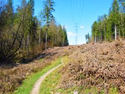 machova-pot-23