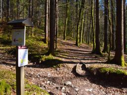 machova-pot-24