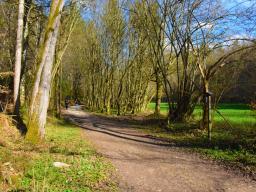machova-pot-28