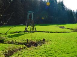 machova-pot-33