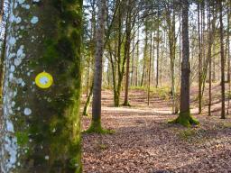 machova-pot-37