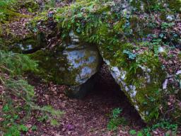 machova-pot-48