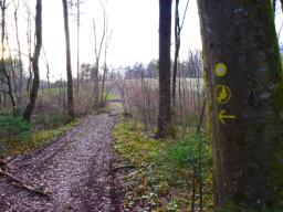 machova-pot-72