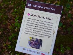 machova-pot-75