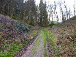 machova-pot-77